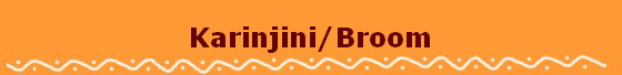 Karinjini/Broom